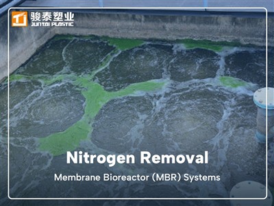 Stickstoffentfernung in Membranbioreaktorsystemen (MBR) für kommunales Abwasser