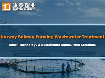 Abwasserbehandlung für norwegische Lachszucht: MBBR-Technologie und nachhalti...