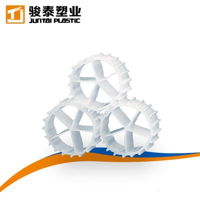 Biofilm -Biofilm -Reaktorfilter des Bettes